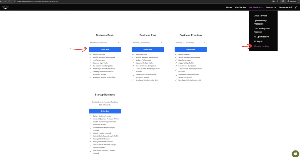 Screenshot of hosting plan options